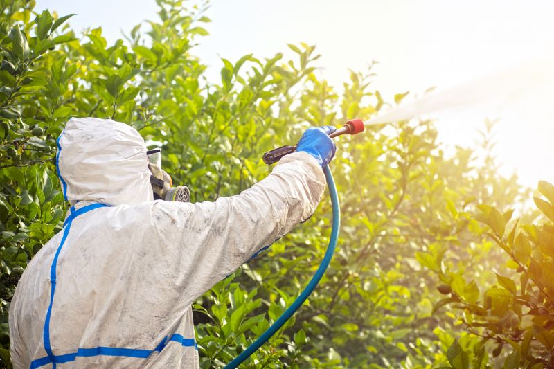 Fumigation Service in Wilmington, DE