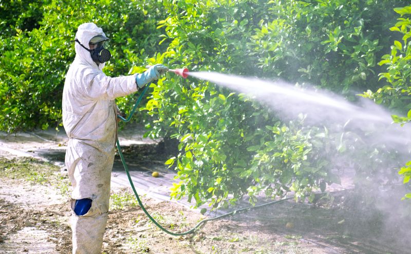 Roach Fumigation in Clarksville, TN