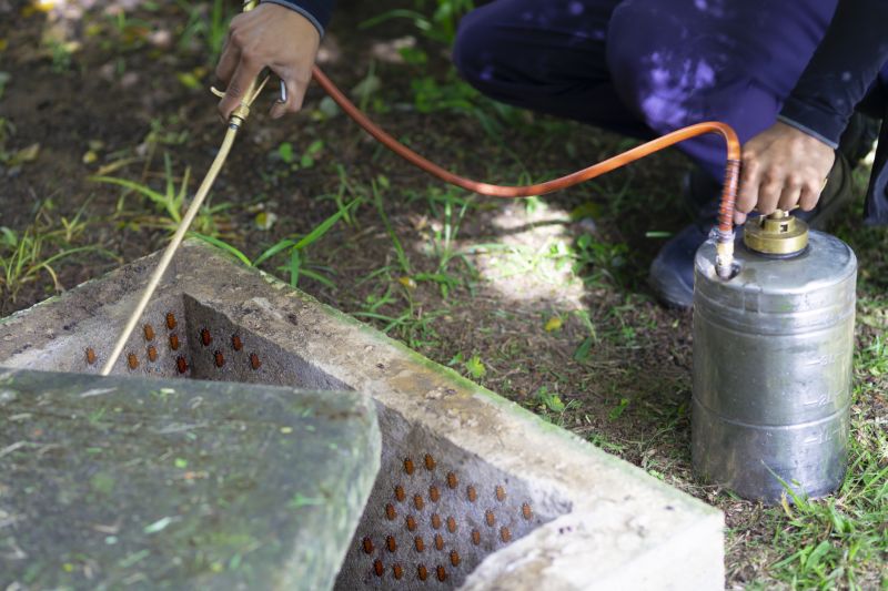 Roach Fumigation in San Jose, CA