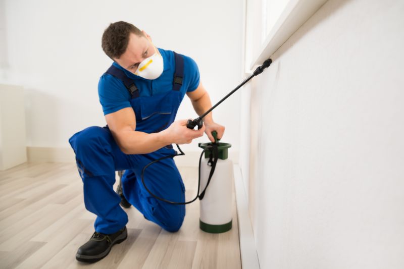 Bug Extermination Service in Katy, TX