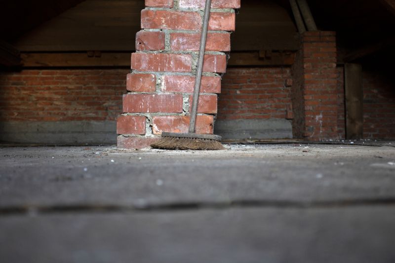 Cost of Bat Removal — Cost of Bat Removal