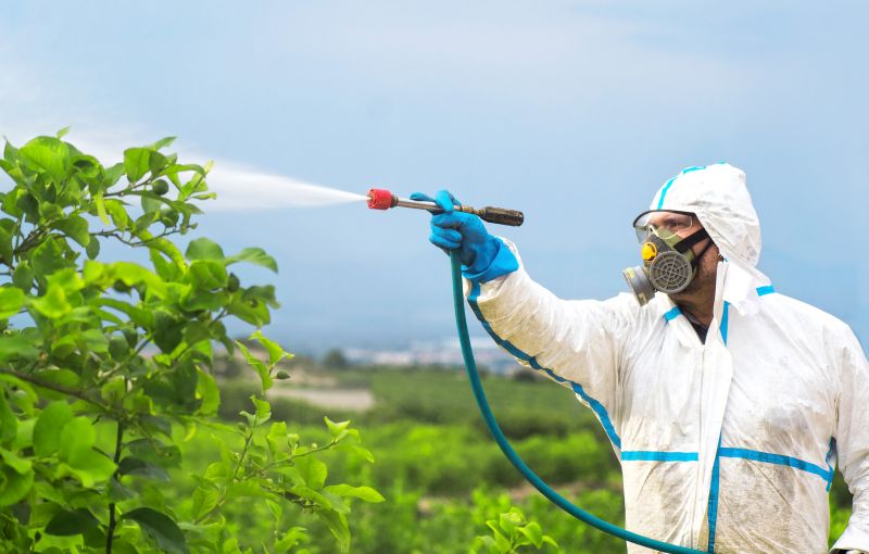Pest Fumigation Service in Fredericksburg, VA