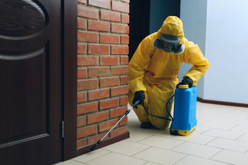 Pest Treatment Service in Katy, TX