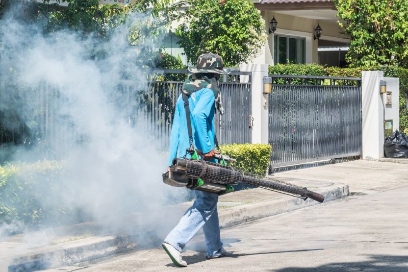 Rat Fumigation Service in Asheville, NC