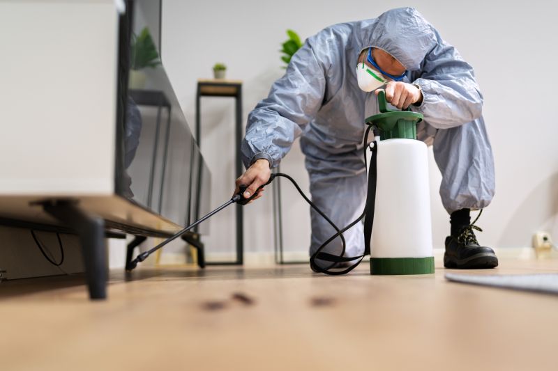 Roach Fumigation in Woodbridge, VA