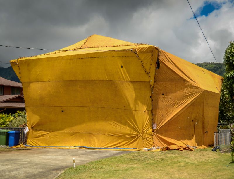 Termite Tenting in Toledo, OH